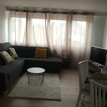 Les Colombages De L'ours Lejlighed Colmar