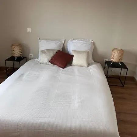 Les Colombages De L'ours קולמר