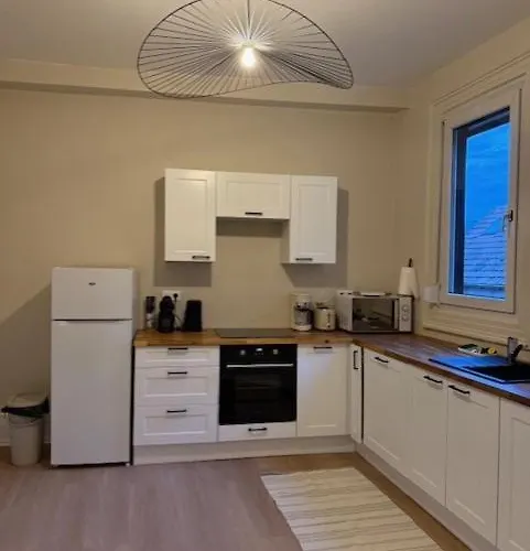 Les Colombages De L'ours * Colmar